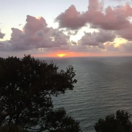 Luna Di Marzo 佛拉斯特拉