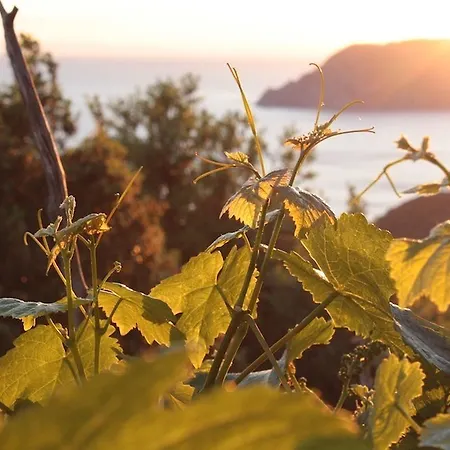 酒店 Luna Di Marzo 3*